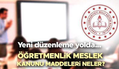 Öğretmenlik Meslek Kanunu taslağı 2024 maddeleri | Öğretmenlik Meslek Kanunu nedir, ne zaman Meclis’e gelecek? Bakan Tekin son dakika duyurdu!