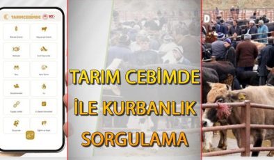 Tarım Cebimde nedir, nasıl indirilir, ne işe yarar? Tarım Cebimde uygulaması kurbanlık sorgulama bilgisi